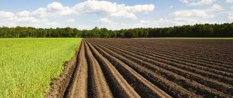Furrows for planting crops