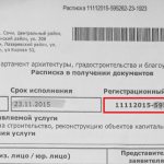 Регистрационный номер расписки о принятии документов в МФЦ