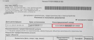 Регистрационный номер расписки о принятии документов в МФЦ