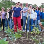 gardening non-profit partnership