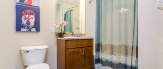 All the nuances of remodeling a bathroom and toilet